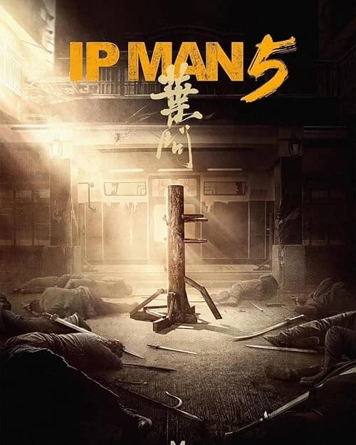 Ip Man 5 film posteri